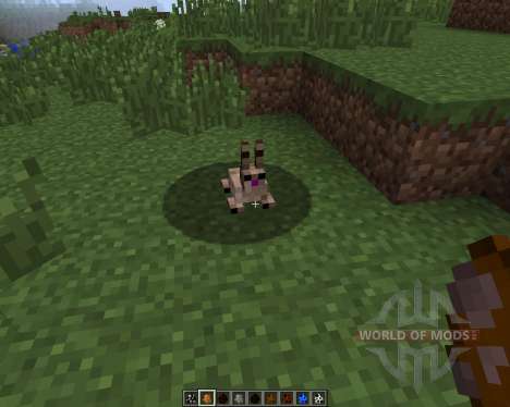 More Mobs [1.7.2] for Minecraft