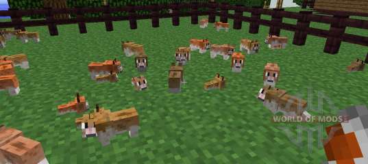 Invincible Hamster [1.5.2] for Minecraft