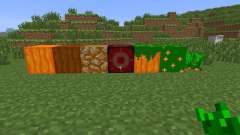 Carrot Dimension [1.6.4] for Minecraft