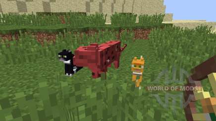 Animal Bikes [1.8] for Minecraft