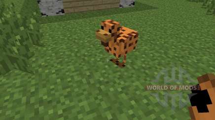 Mo Chickens [1.6.4] for Minecraft