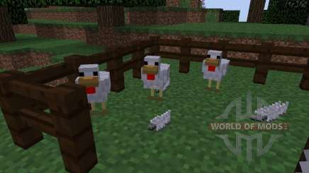 ChickenShed [1.8] for Minecraft