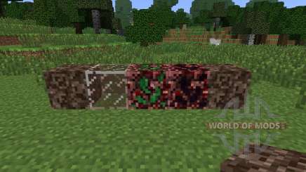 NetherX [1.6.4] for Minecraft