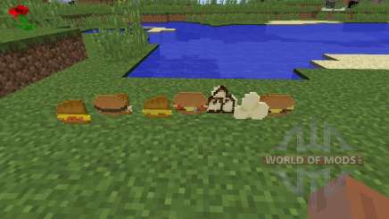 Birds Foods [1.8] for Minecraft