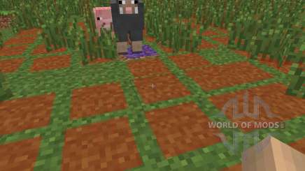 Monster Spawn Highlighter [1.6.4] for Minecraft