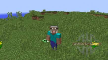 Masks Mod by Hamster_Furtif [1.8] for Minecraft