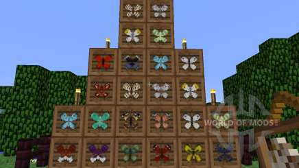 Butterfly Mania [1.5.2] for Minecraft