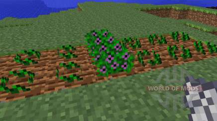 Magical Crops [1.5.2] for Minecraft