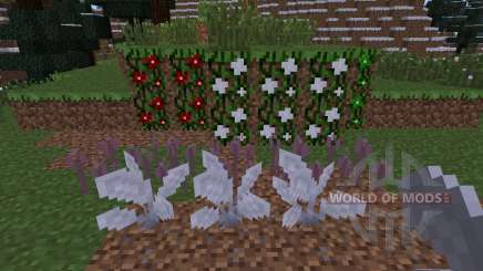 Pams Flowers [1.6.4] for Minecraft