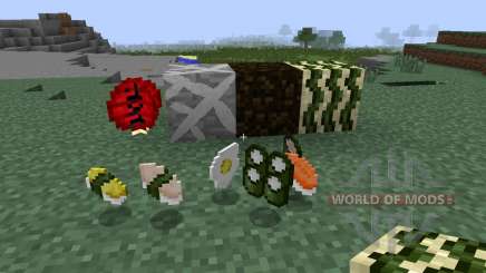 Sushi Craft [1.7.2] for Minecraft