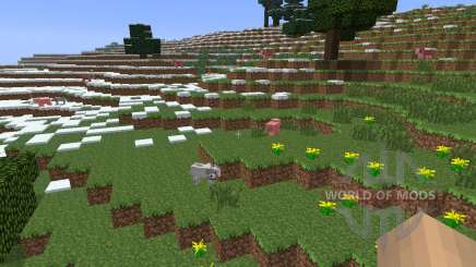 DirectionHUD [1.6.4] for Minecraft