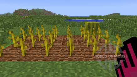 Planter Helper [1.6.4] for Minecraft