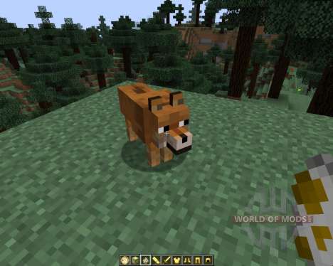 Doge [1.7.2] for Minecraft