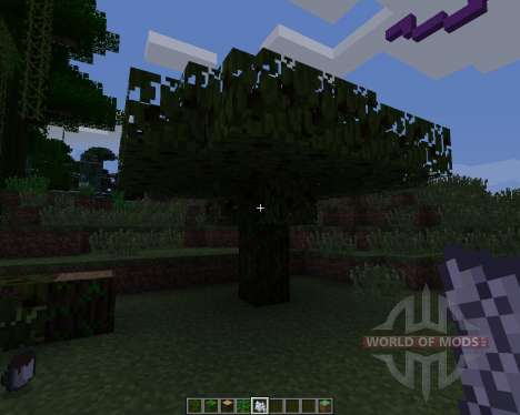 CocoaCraft [1.6.2] for Minecraft