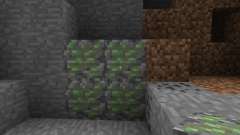 Slime Dungeons [1.6.2] for Minecraft