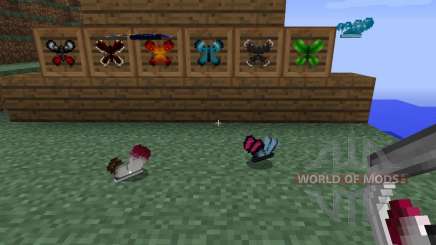 Butterfly Mania [1.6.2] for Minecraft