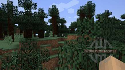 DirectionHUD [1.7.2] for Minecraft