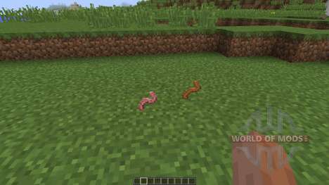 Worms [1.8] for Minecraft