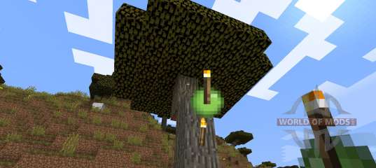 Throwable Torch [1.8] for Minecraft
