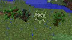 3D NATURE PACK v2.2 [16x][1.8.1] for Minecraft