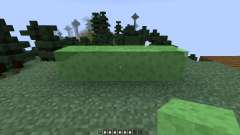Back in Slime [1.7.10] for Minecraft