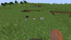 Butterfly Mania [1.8] for Minecraft