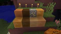 Club Penguin Resource Pack [16x][1.8.1] for Minecraft