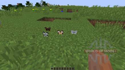 Butterfly Mania [1.8] for Minecraft