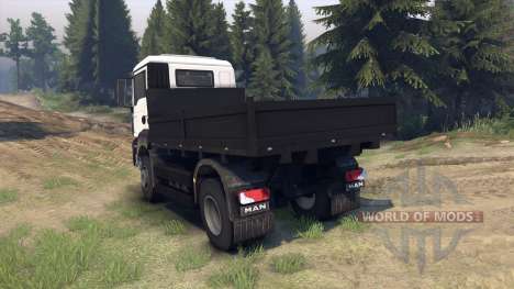 MAN TGS Little Flatbed for Spin Tires