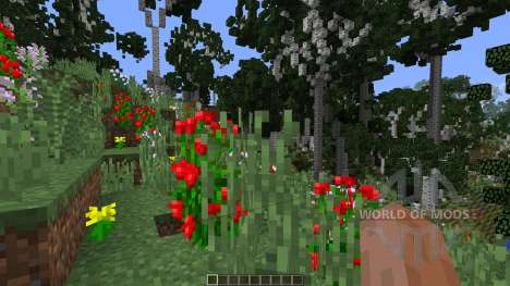 Birch Isle Tree Pack Featurette for Minecraft