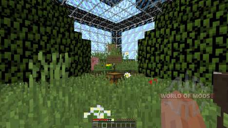 Micro Cubes Survival [1.8][1.8.8] for Minecraft