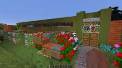 Modern Prarie House for Minecraft