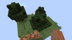 One Chunk for Minecraft