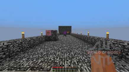 The TEST-chambers for Minecraft