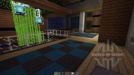 PLANINA A Modern House for Minecraft