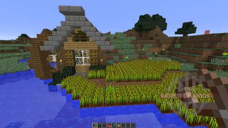 Bee Builds House on the Lake for Minecraft