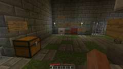 Seeker Chronicles Episode 1 for Minecraft