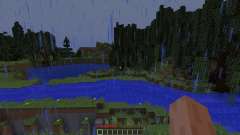 Project 11 for Minecraft