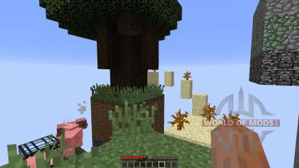 SkyBlocks for Minecraft