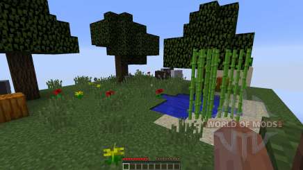 Chunks for Minecraft