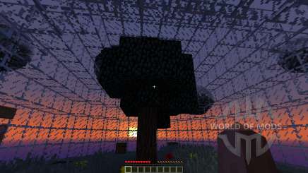 Biomesphere survival 1.2 for Minecraft