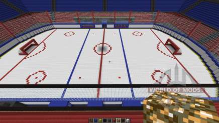 Oustanding Outdoor Hockey Arena for Minecraft