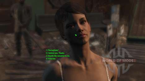 New Dialogs (English) for Fallout 4