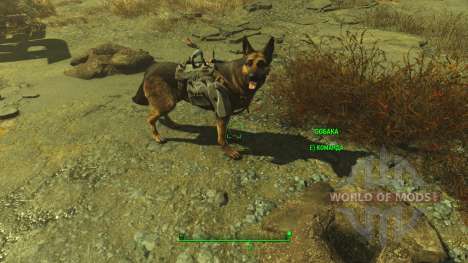 Armor for Dogmeat cheat for Fallout 4