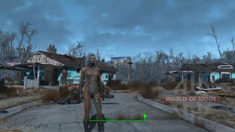 Clothing and armor cheat for Fallout 4