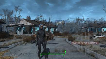 Sex change mod for Fallout 4