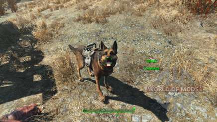 Armor for Dogmeat cheat for Fallout 4