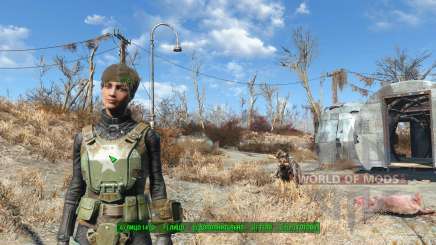 Hack to change the appearance for Fallout 4