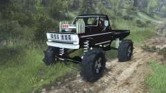 Ford F-100 for Spin Tires