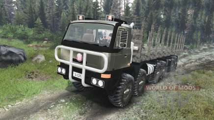 Tatra Terrno 12x12 [03.03.16] for Spin Tires